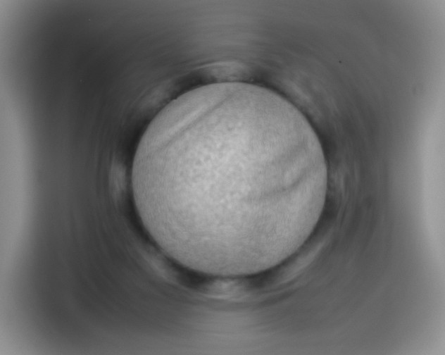 X0000113780117200910141046