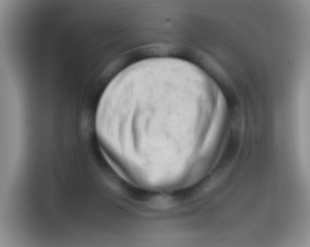 X0000113780119200910141046