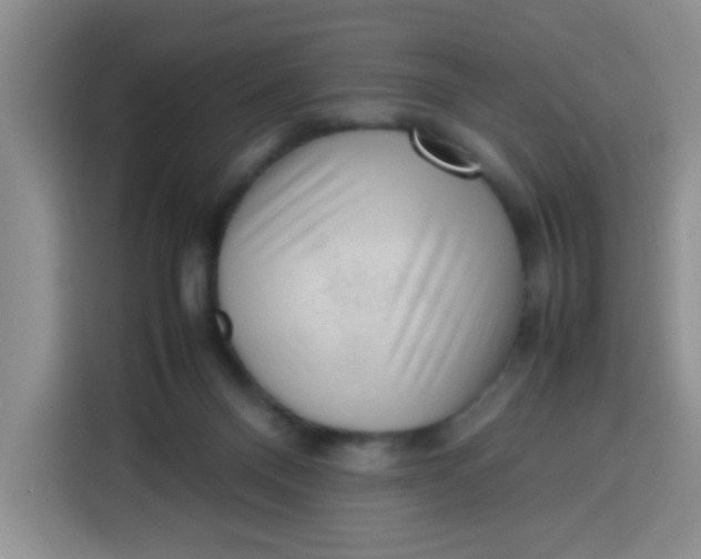 X0000113780120200910141046