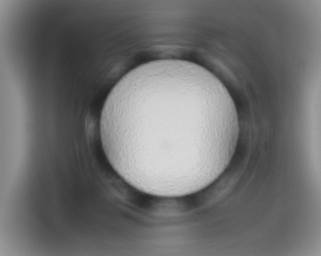 X0000113780123200910141046