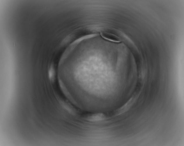 X0000113780124200910141046