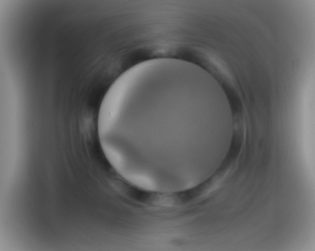 X0000113780127200910141046