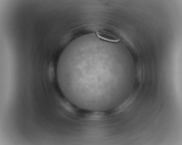 X0000113780128200910141046