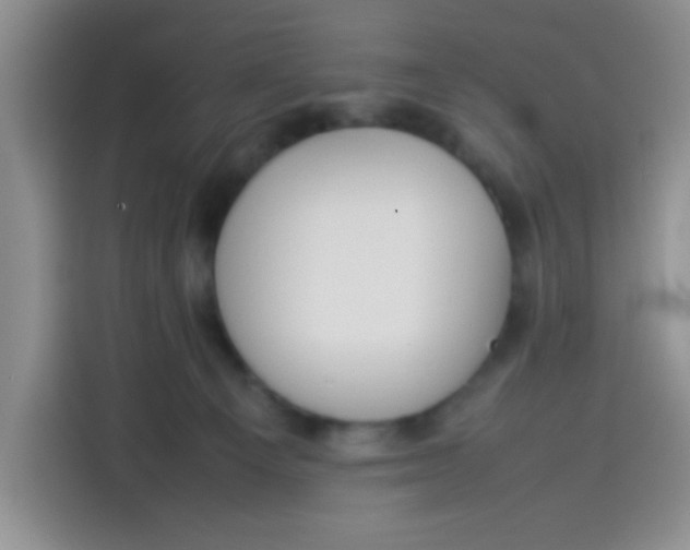 X0000113780129200910141046