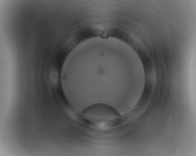 X0000113780130200910141046