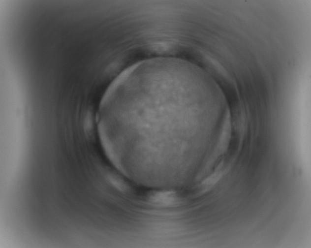 X0000113780132200910141046