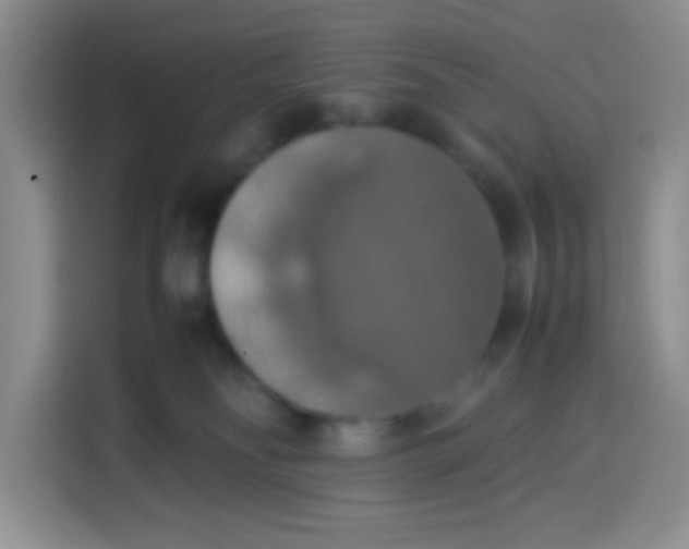 X0000113780134200910141046