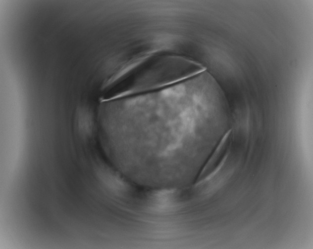 X0000113780136200910141046