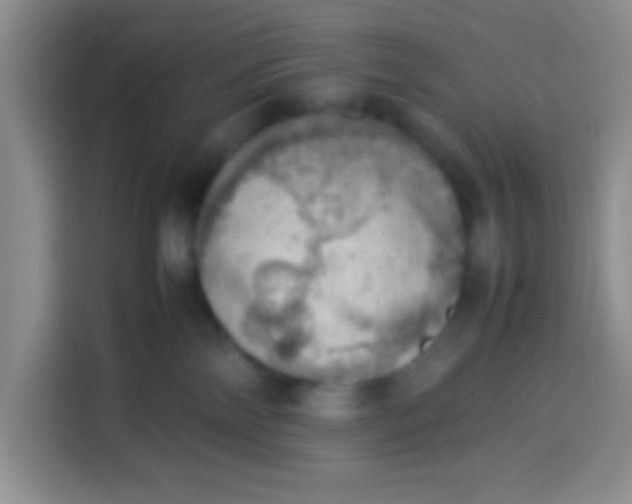 X0000113780138200910141046