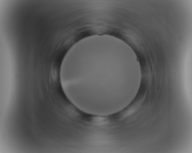 X0000113780139200910141046