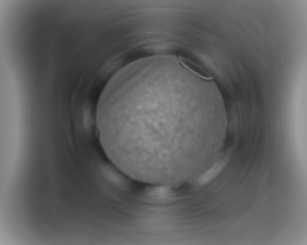 X0000113780140200910141046