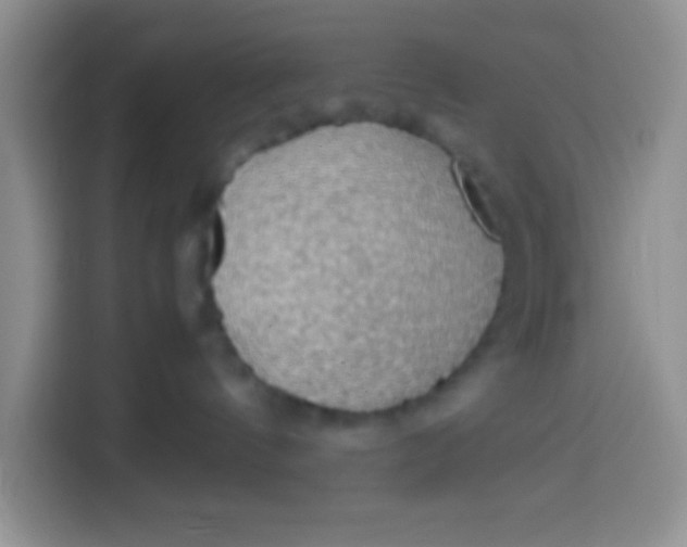 X0000113780144200910141046