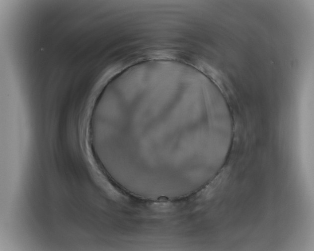 X0000113780145200910141045