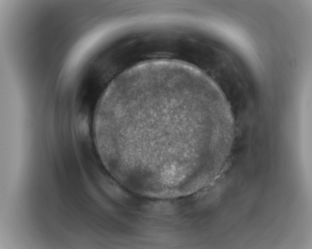 X0000113780146200910141045