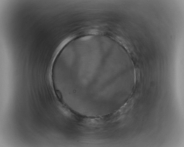 X0000113780147200910141045