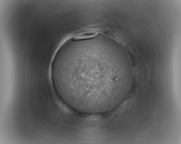 X0000113780148200910141045