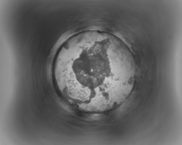 X0000113780151200910141045