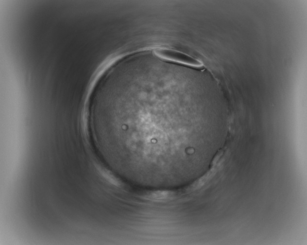 X0000113780152200910141045