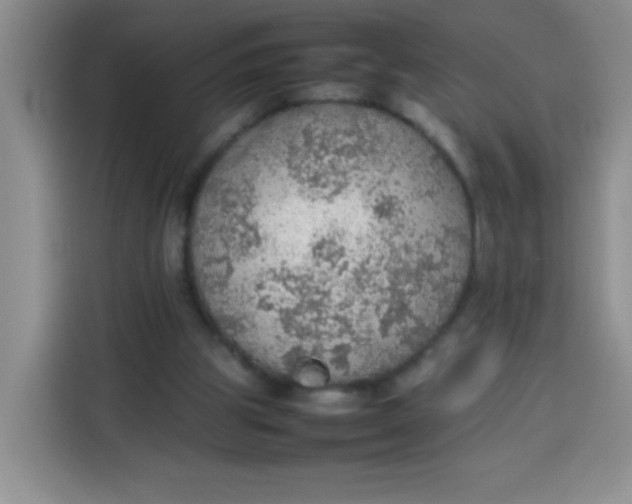 X0000113780153200910141045