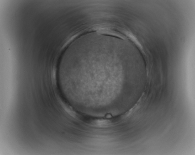 X0000113780154200910141045