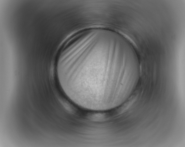 X0000113780156200910141045