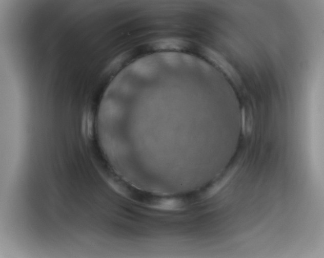 X0000113780157200910141045