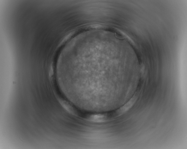 X0000113780158200910141045