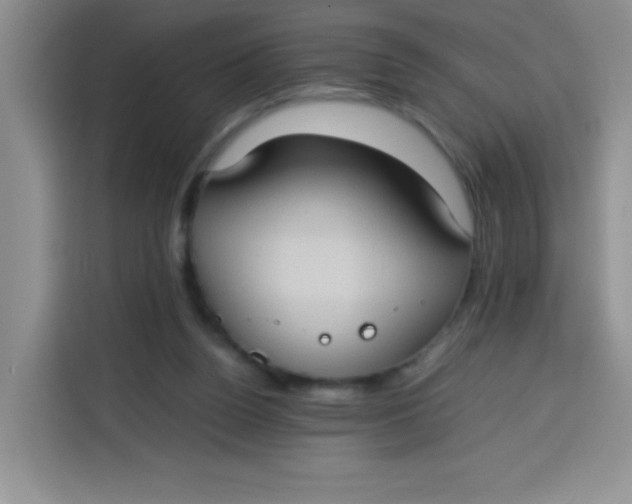 X0000113780160200910141045