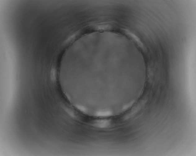 X0000113780161200910141045