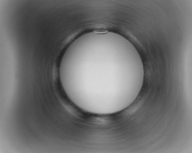 X0000113780164200910141045