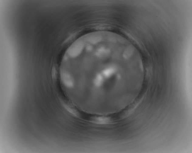 X0000113780165200910141045