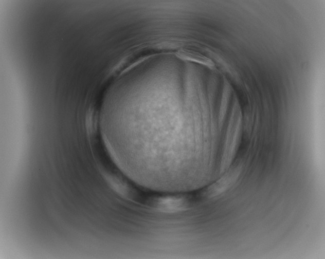 X0000113780168200910141045