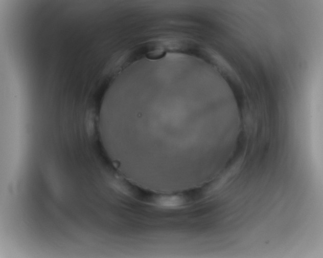 X0000113780169200910141045