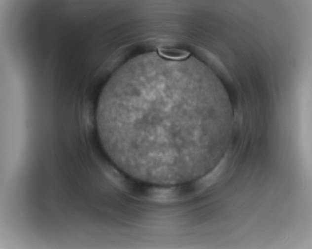 X0000113780170200910141045