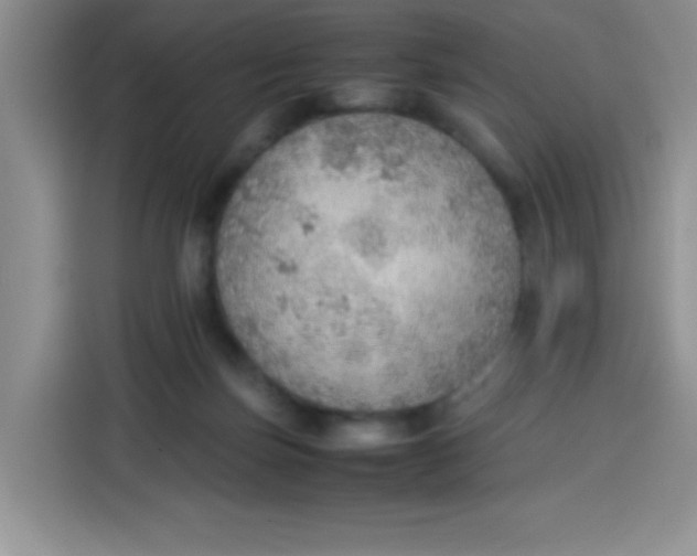 X0000113780171200910141045