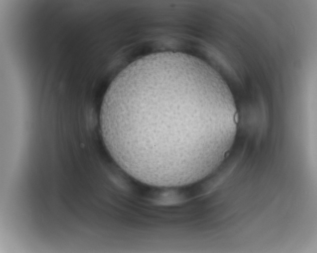 X0000113780173200910141045