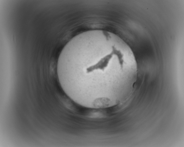 X0000113780175200910141045