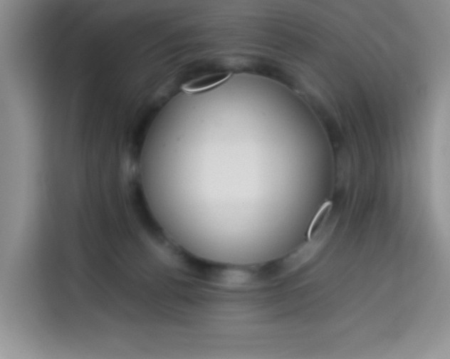 X0000113780176200910141046