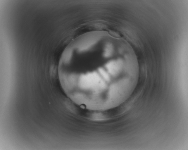 X0000113780177200910141046