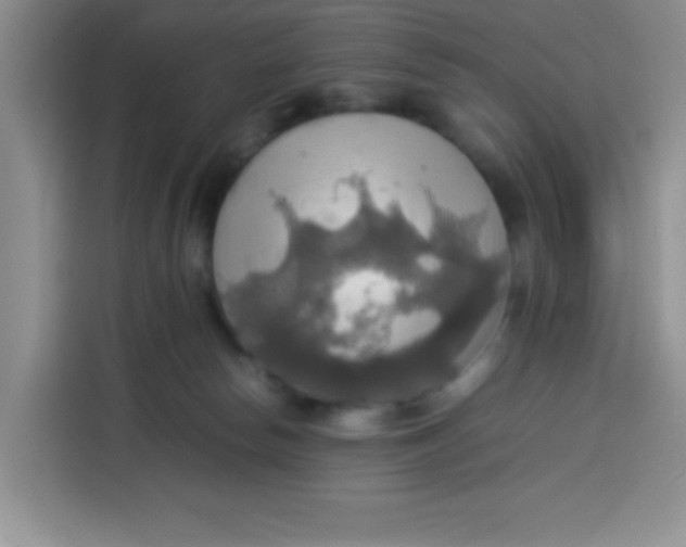 X0000113780178200910141046