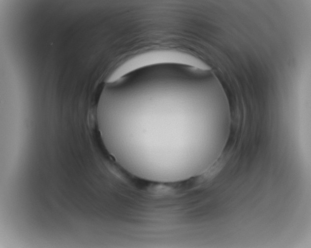 X0000113780180200910141046