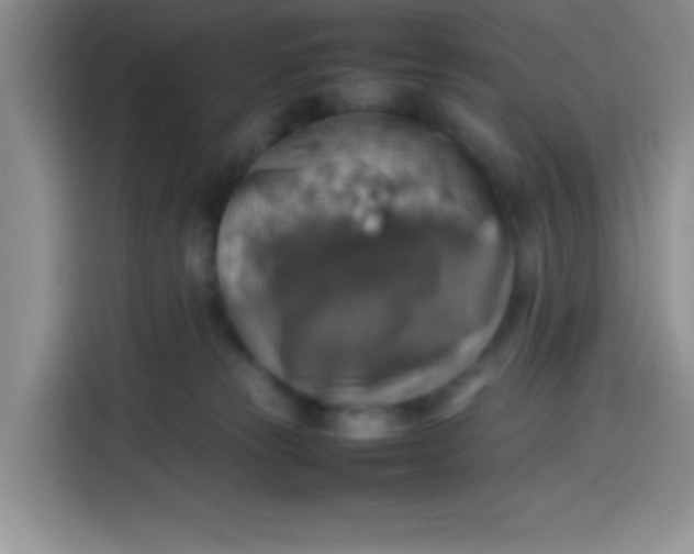 X0000113780181200910141046