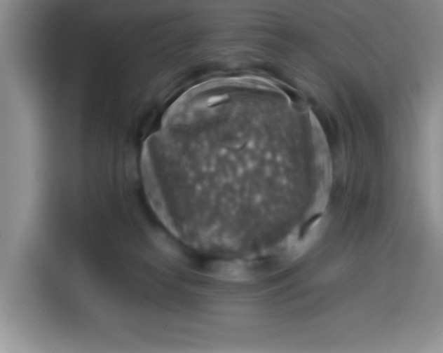 X0000113780182200910141046