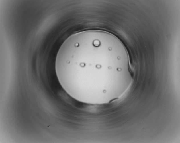 X0000113780190200910141046