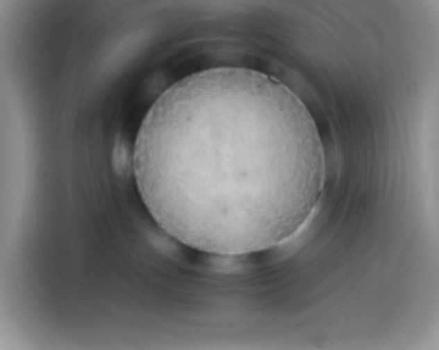 X0000113780191200910141046