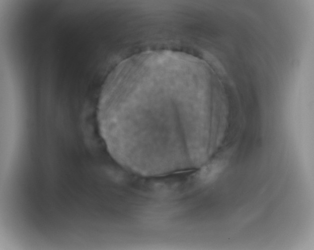 X0000113780192200910141046