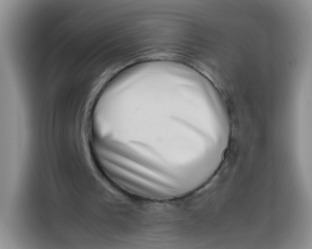 X0000113780193200910141045