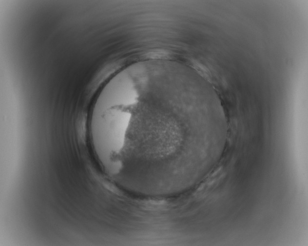 X0000113780194200910141045