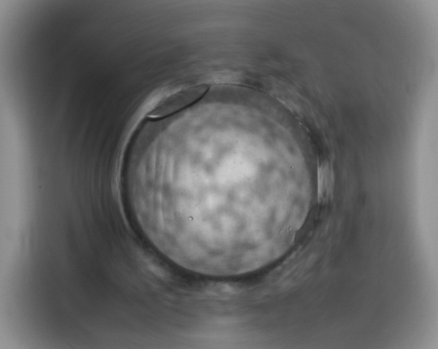 X0000113780195200910141045