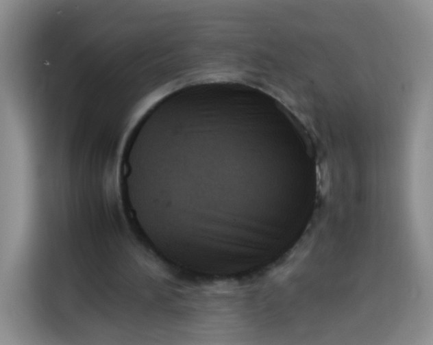 X0000113780196200910141045